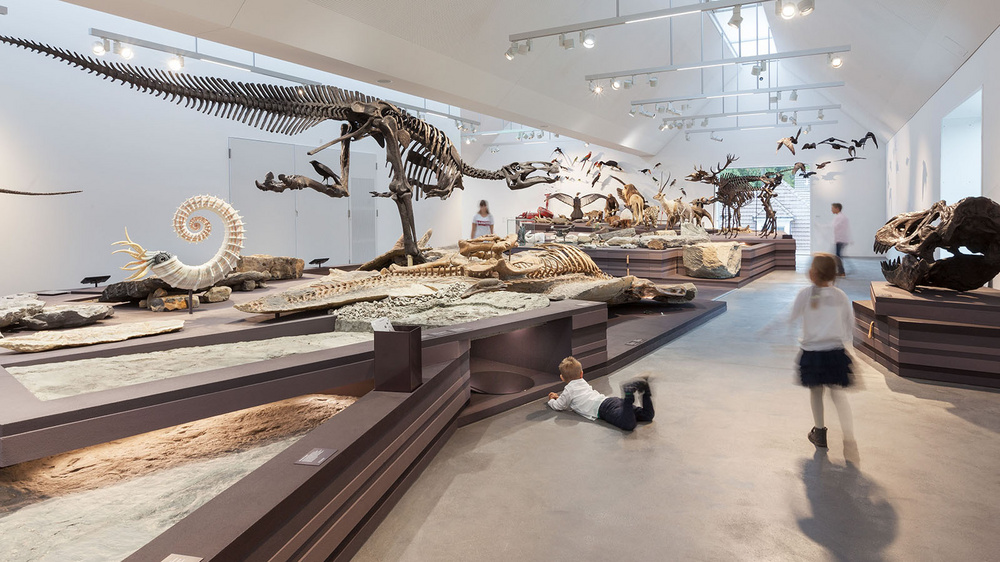 Kinder in einem Museum mit ausgestellten Reptilien.