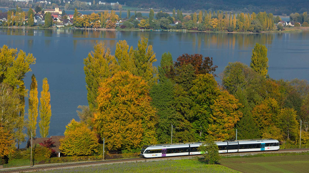 Thurbo Zug an einem See mit farbigen Herbstbäumen.