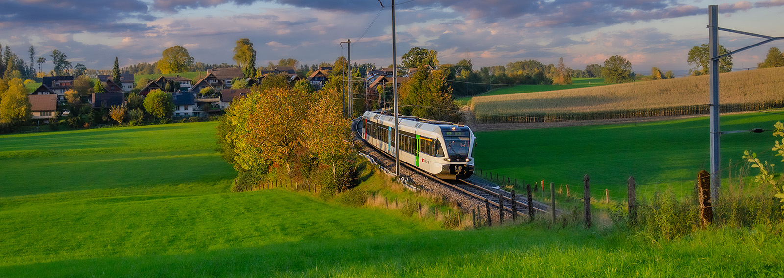 Stimmungsvolles Herbstbild mit grüner Wiese und Thurbo Zug fährt durch die Landschaft.