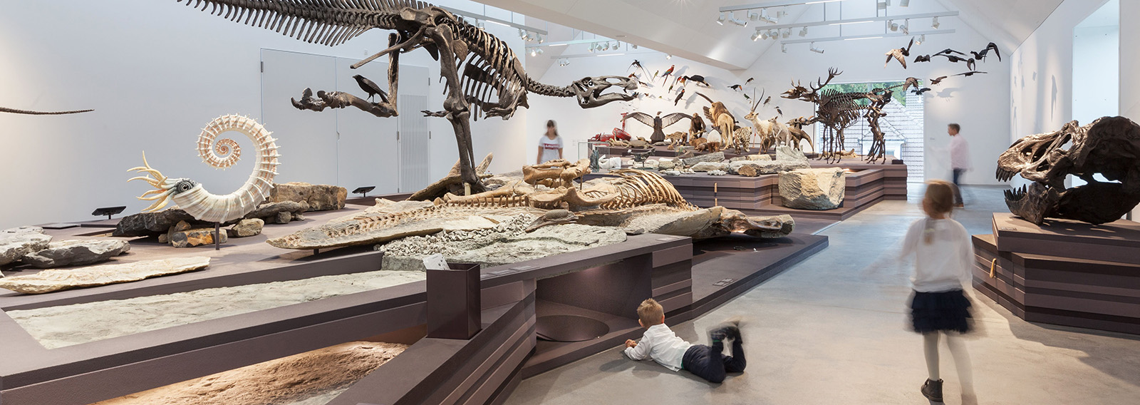 Kinder in einem Museum mit ausgestellten Reptilien.