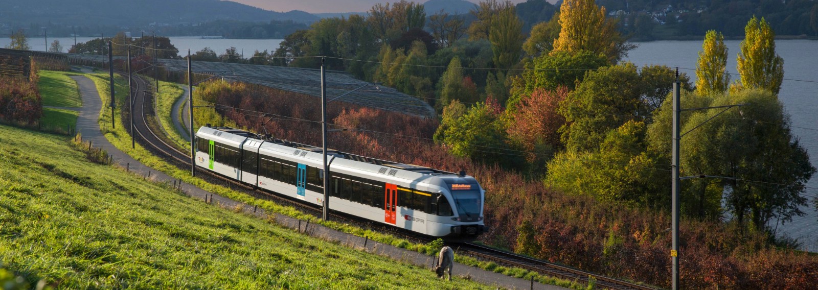 Thurbo Zug fährt im Herbst am Bodensee entlang.